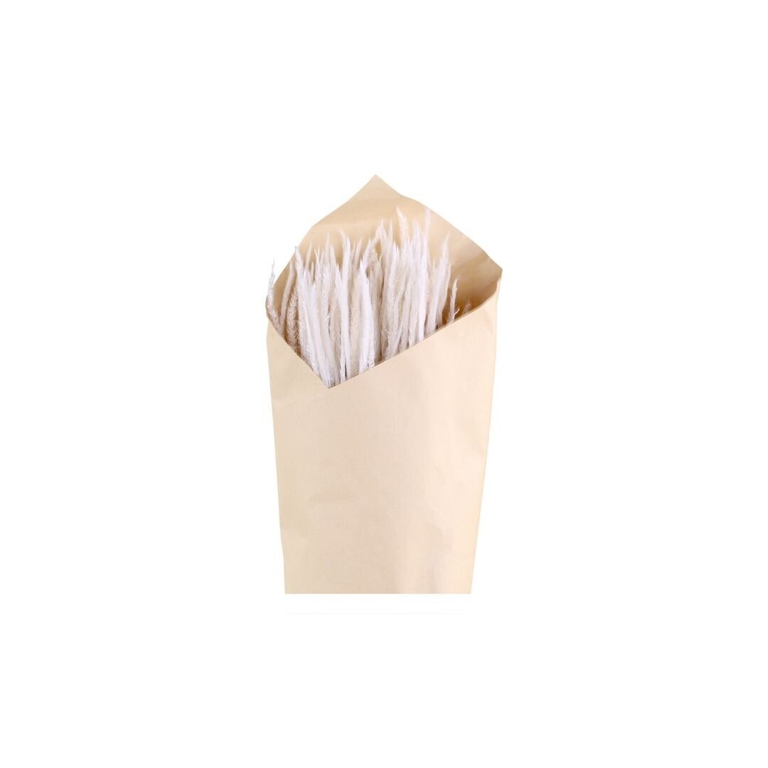 Fleur getrocknetes Pampasgras Phleum, creme 