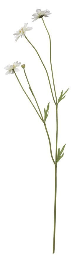 Chic Antique Fleur Gräben Kante Blume 5, weiss H57 cm