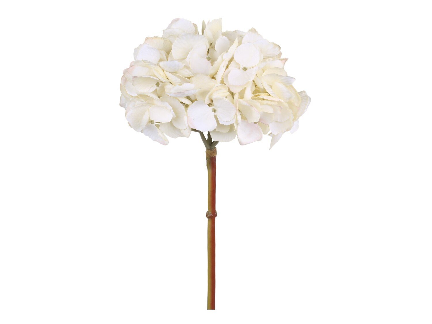 Fleur Hortensie creme von Chic | bestellen SKANDEKO Antique günstig
