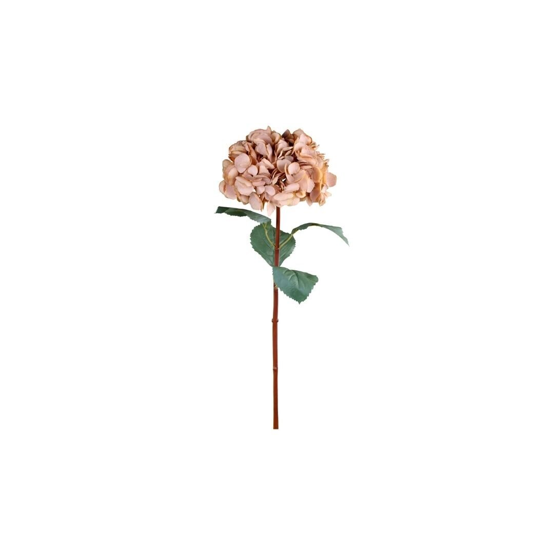 Fleur Kunstblume Hortensie mit Blatt, beige 
