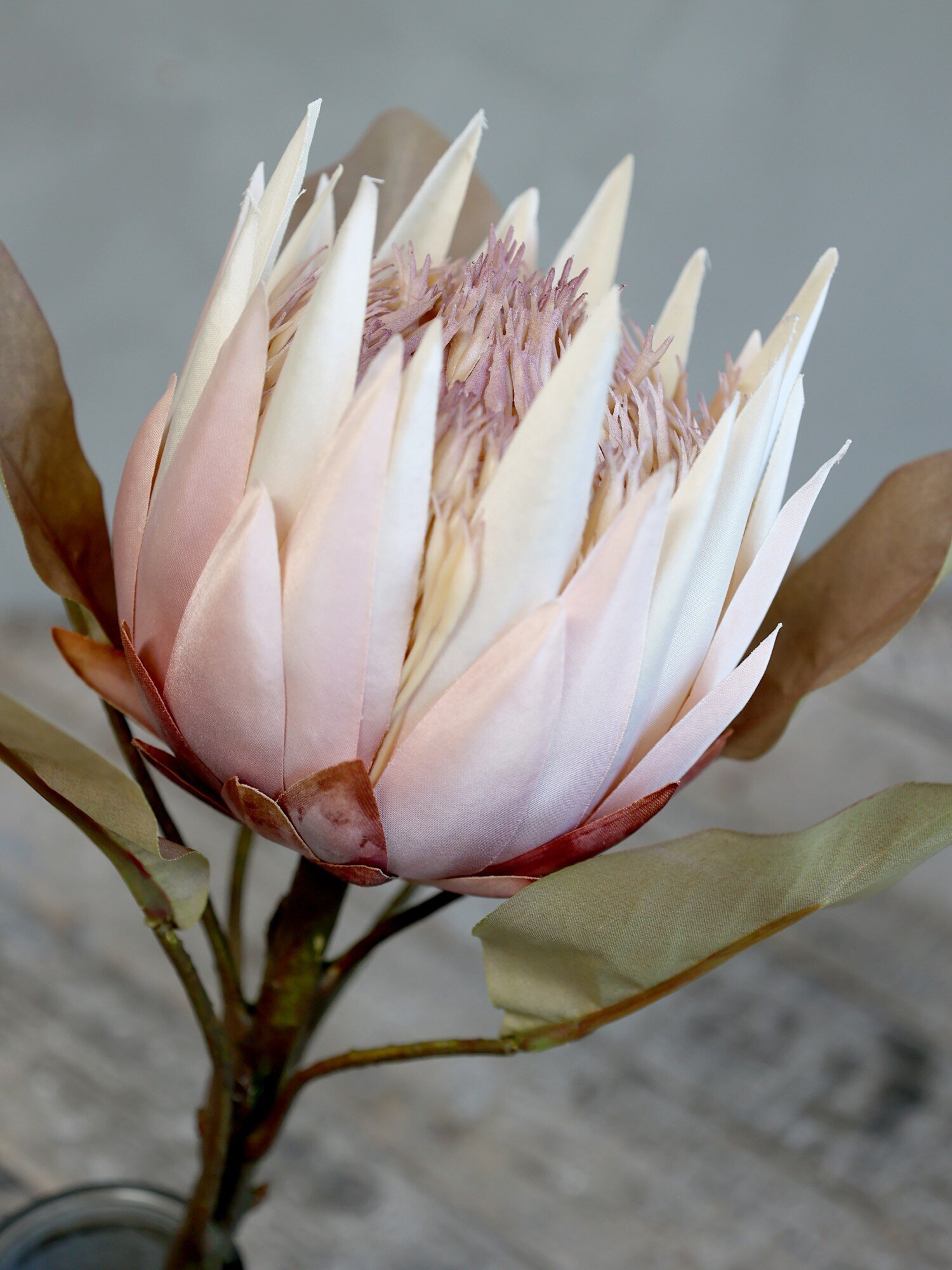 Fleur Kunstblume Protea, altrosa 