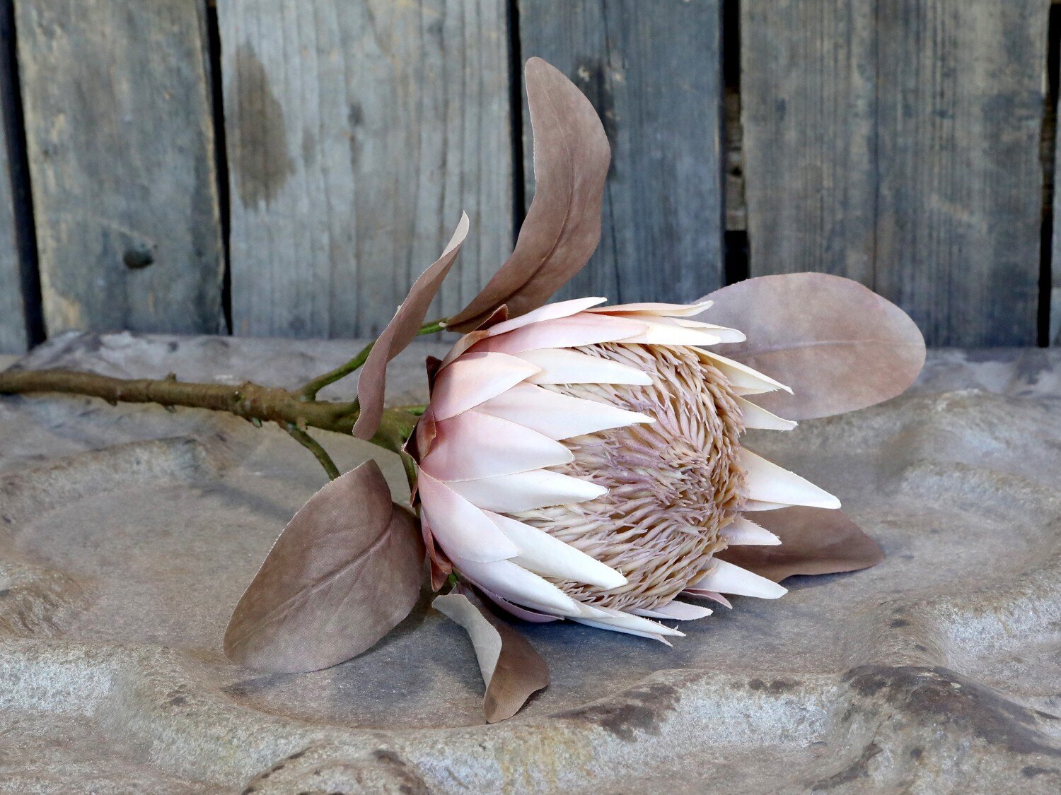 Fleur Kunstblume Protea, altrosa 