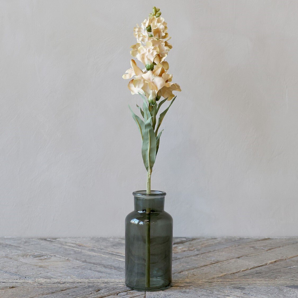 Fleur Löwenmäuler, creme 