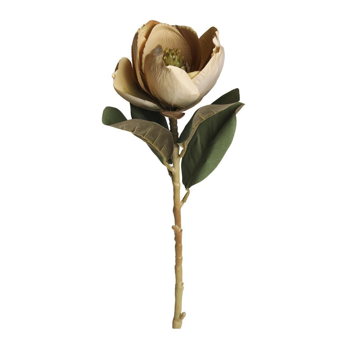 Fleur Magnolia, beige 