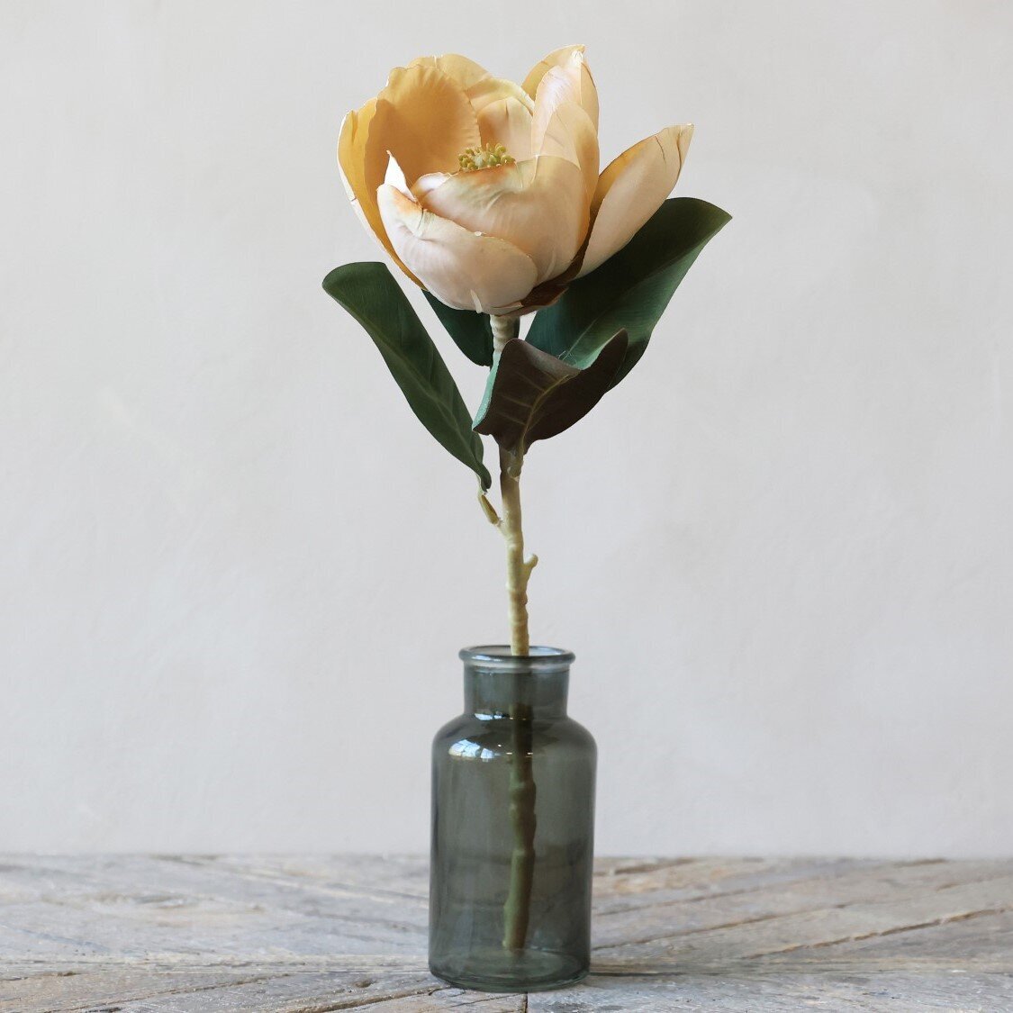 Fleur Magnolia, beige 