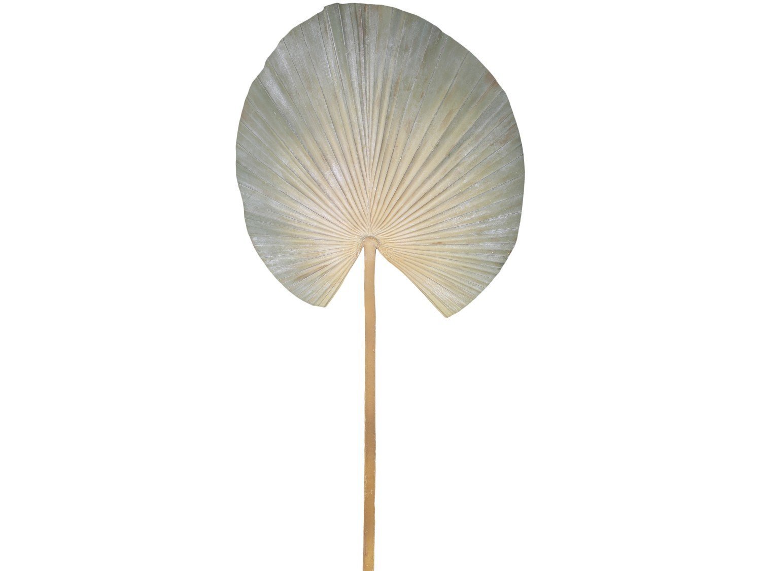 Kunstpflanze Palmen Blatt, staubgrün 