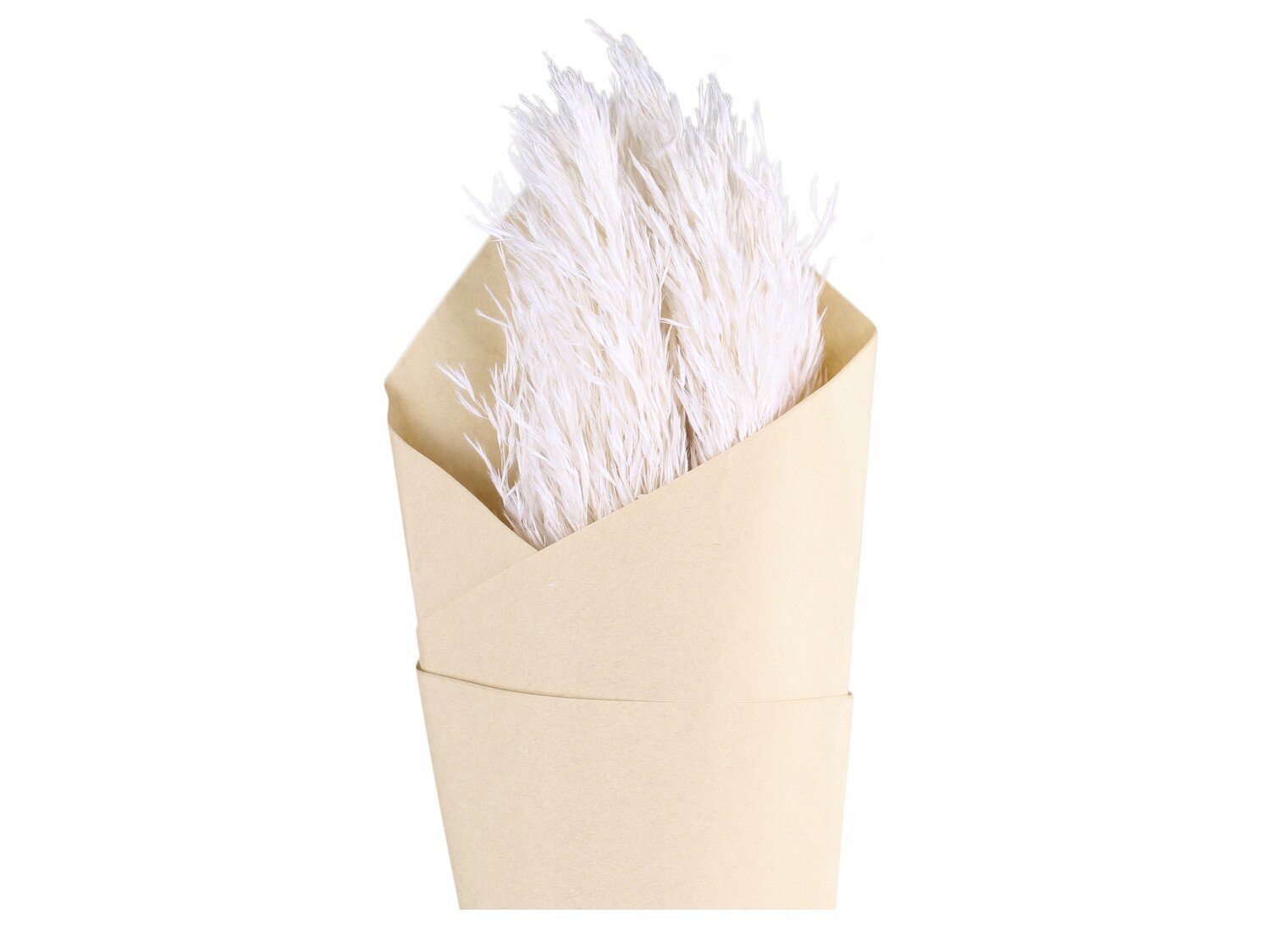 Fleur künstliches Pampasgras, creme 