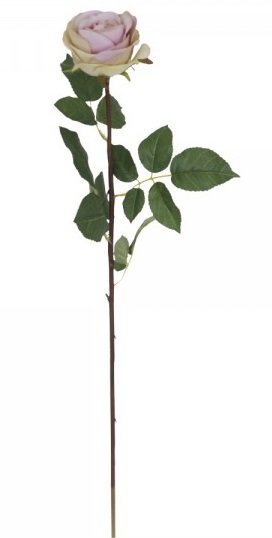 Chic Antique Fleur Rose rosa, rosa H71/D10 cm