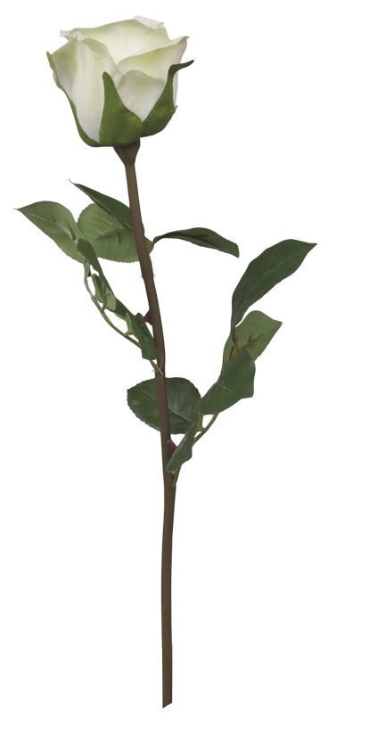 Chic Antique Fleur Rose weiß, weiss H40 cm