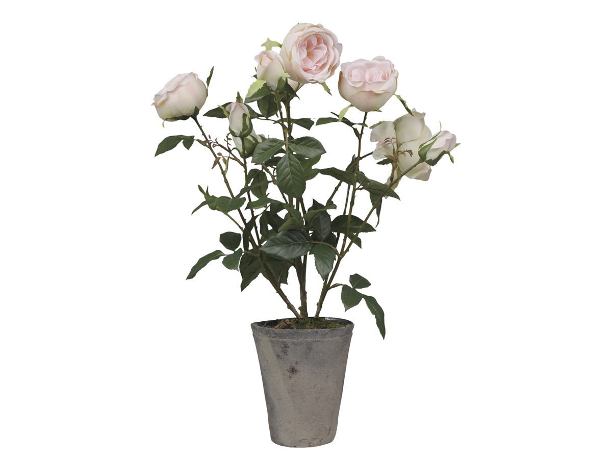Chic Antique Fleur Rosenstrauch im Keramiktopf, rosa H52 cm