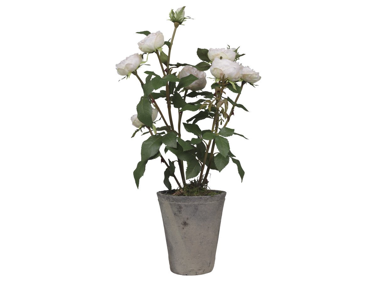 Chic Antique Fleur Rosenstrauch im Keramiktopf, rosa H44 cm