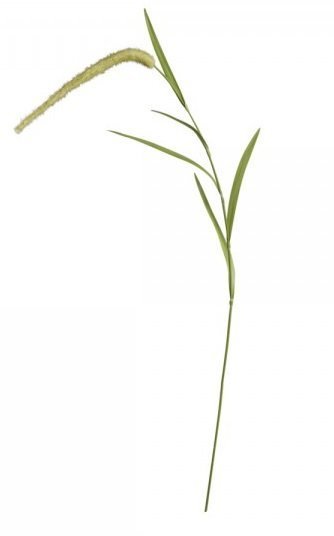 Chic Antique Fleur Stroh, grün H95 cm