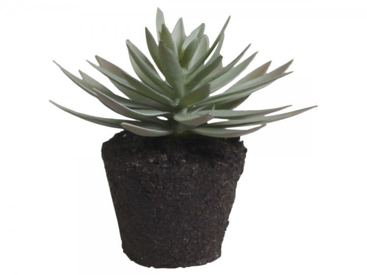 Chic Antique Fleur Sukkulent 3, grün H12,5 cm