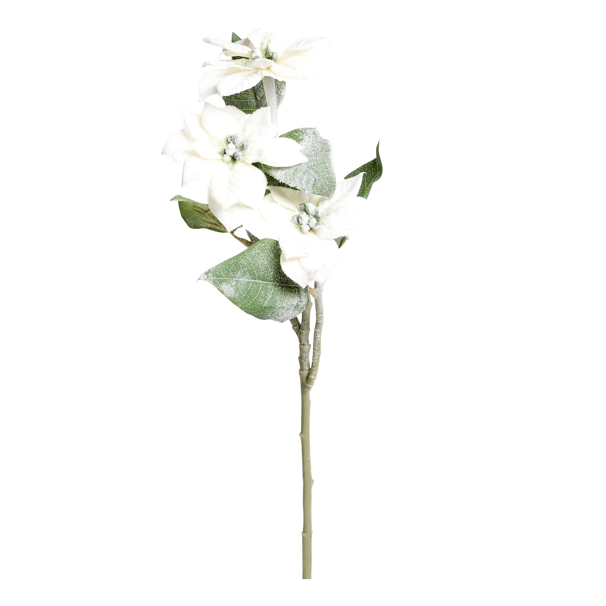 Fleur Weihnachtsstern mit Schnee und Glitzer, creme 