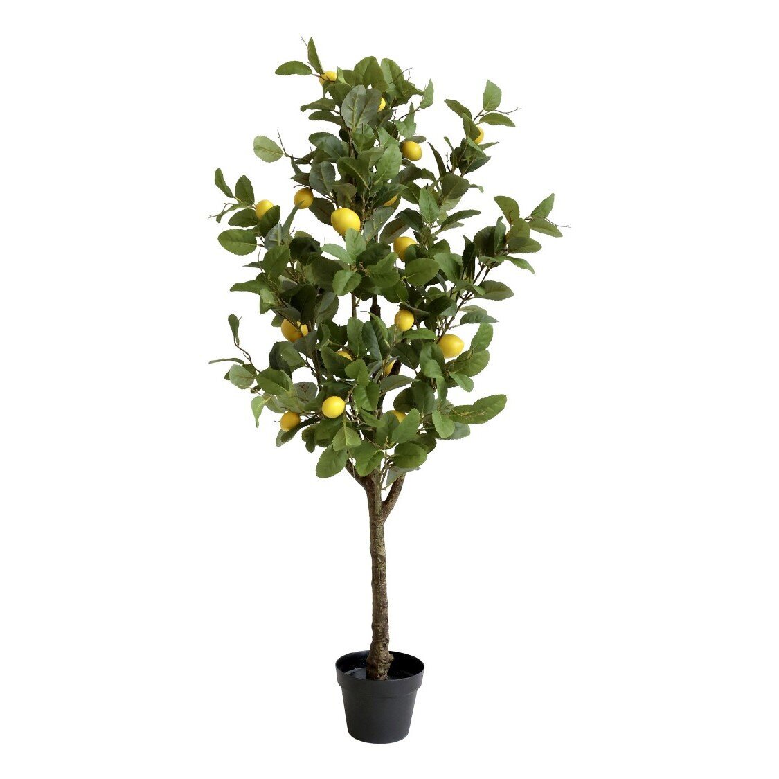 Fleur Zitronenbaum, natur 