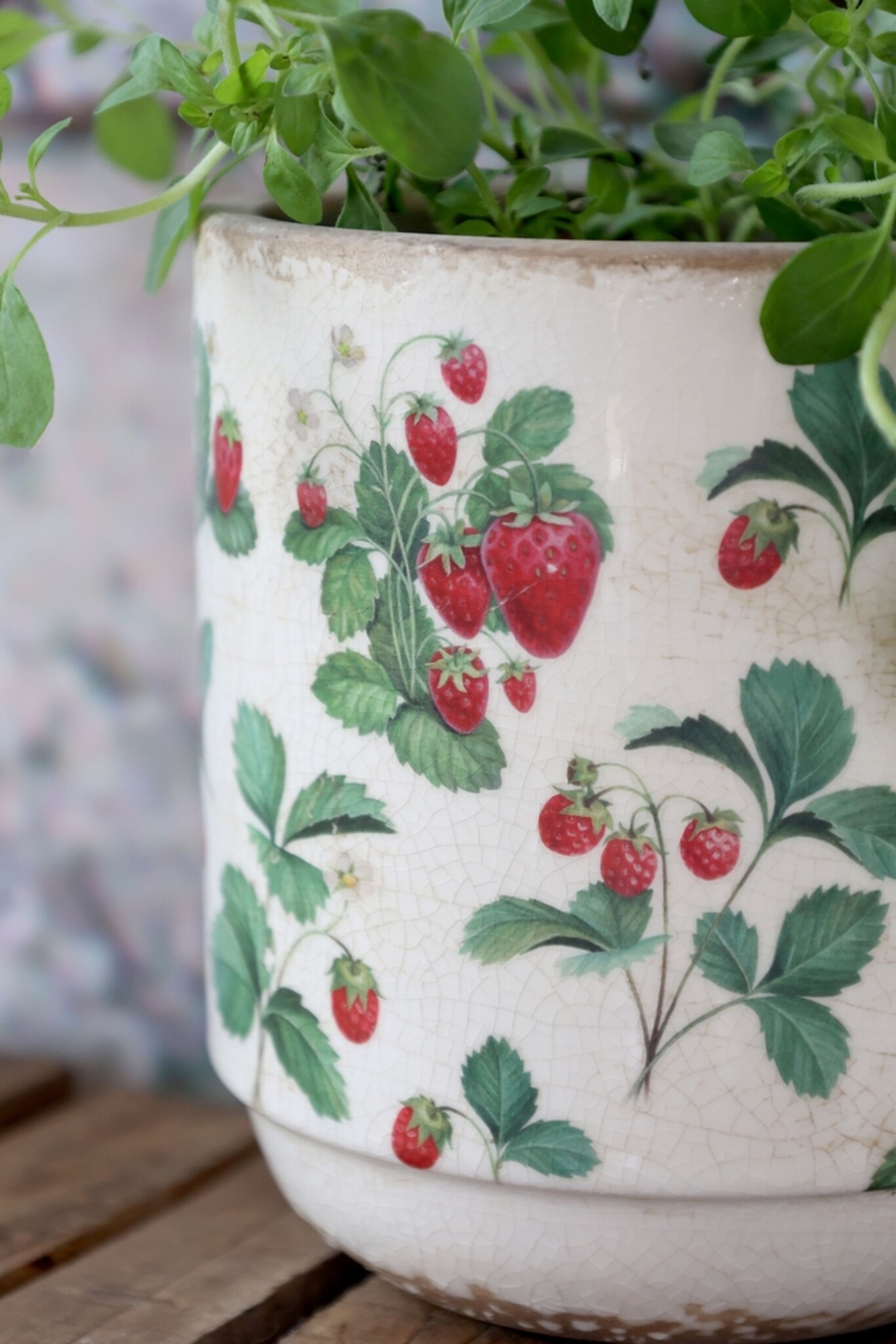 Fraises Übertopf – Keramik-Pflanztopf mit Erdbeer-Dekor, creme 13 cm, Ø 13 cm