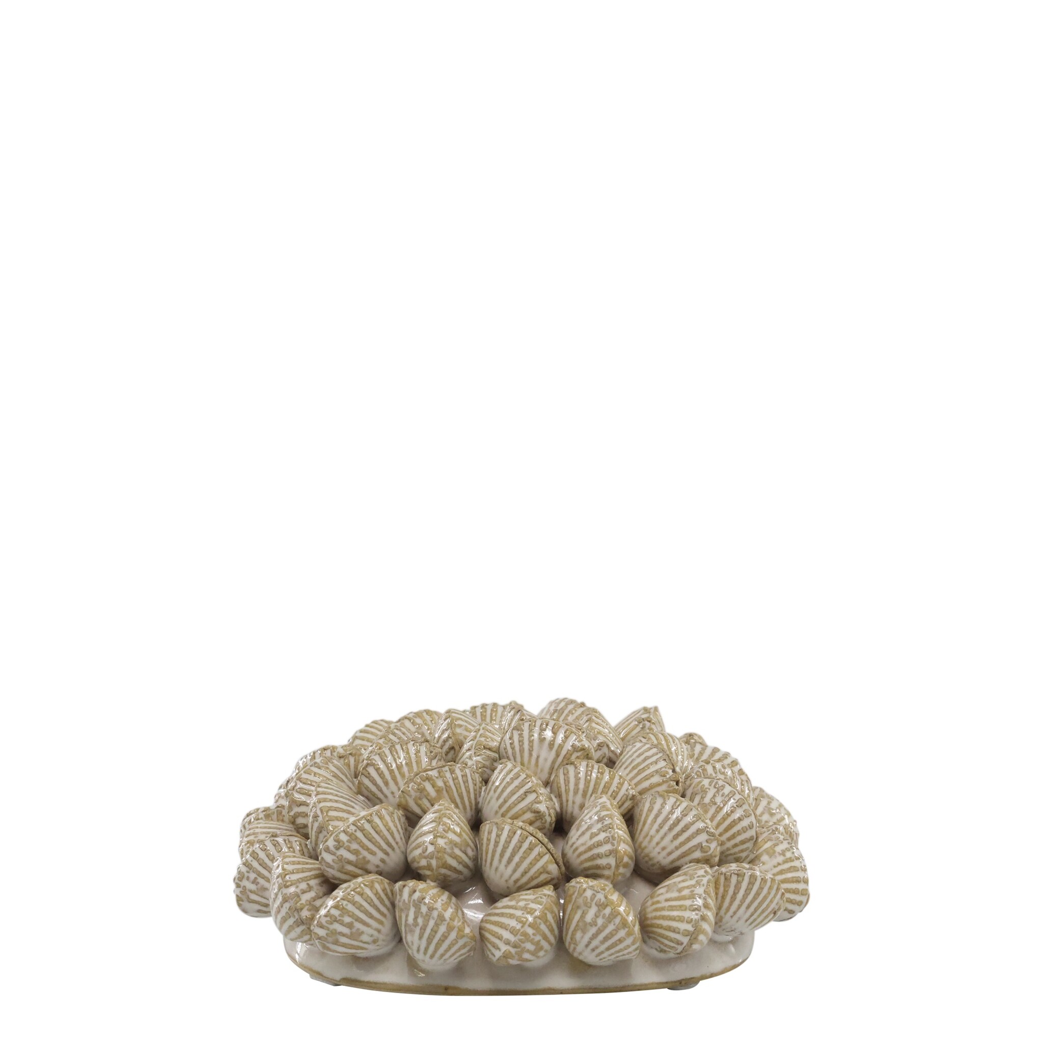 Koralle mit Muscheln für Deko, creme 