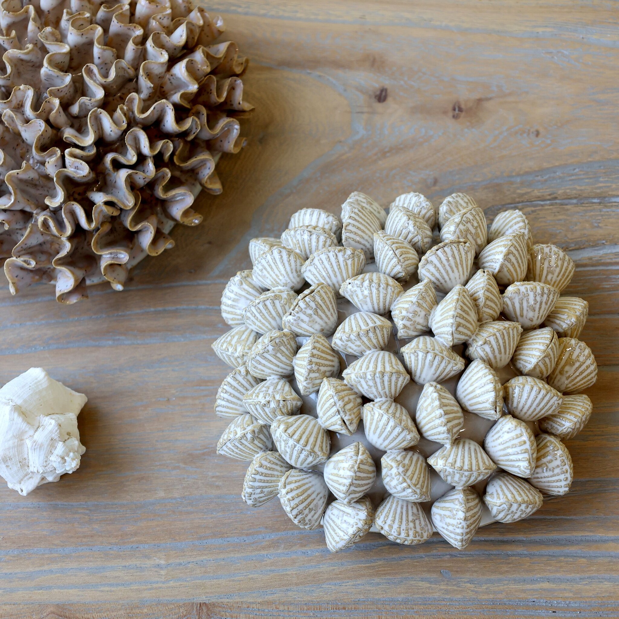 Koralle mit Muscheln für Deko, creme 