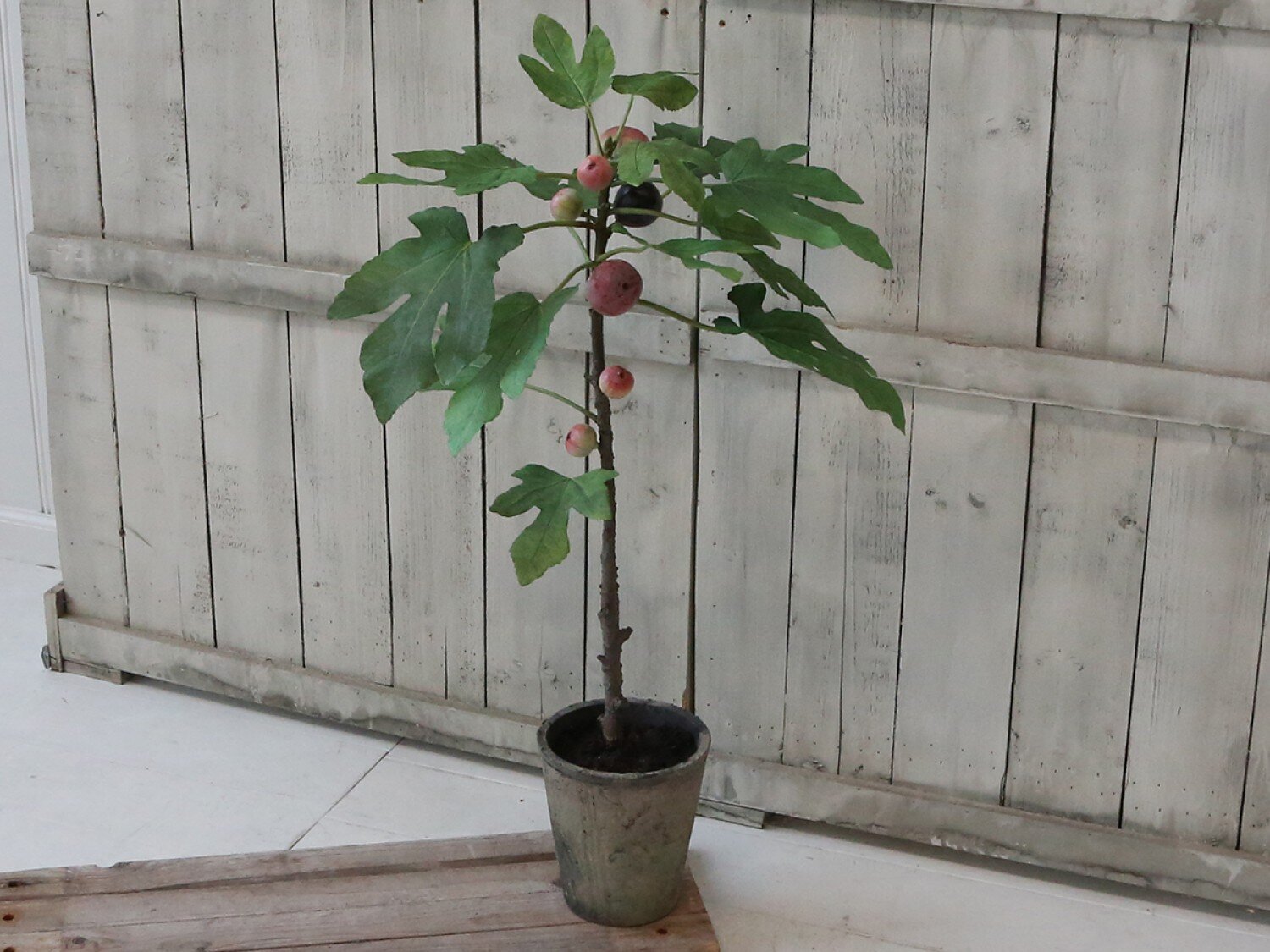 Künstlicher Feigenbaum mit altem Übertopf, grün 