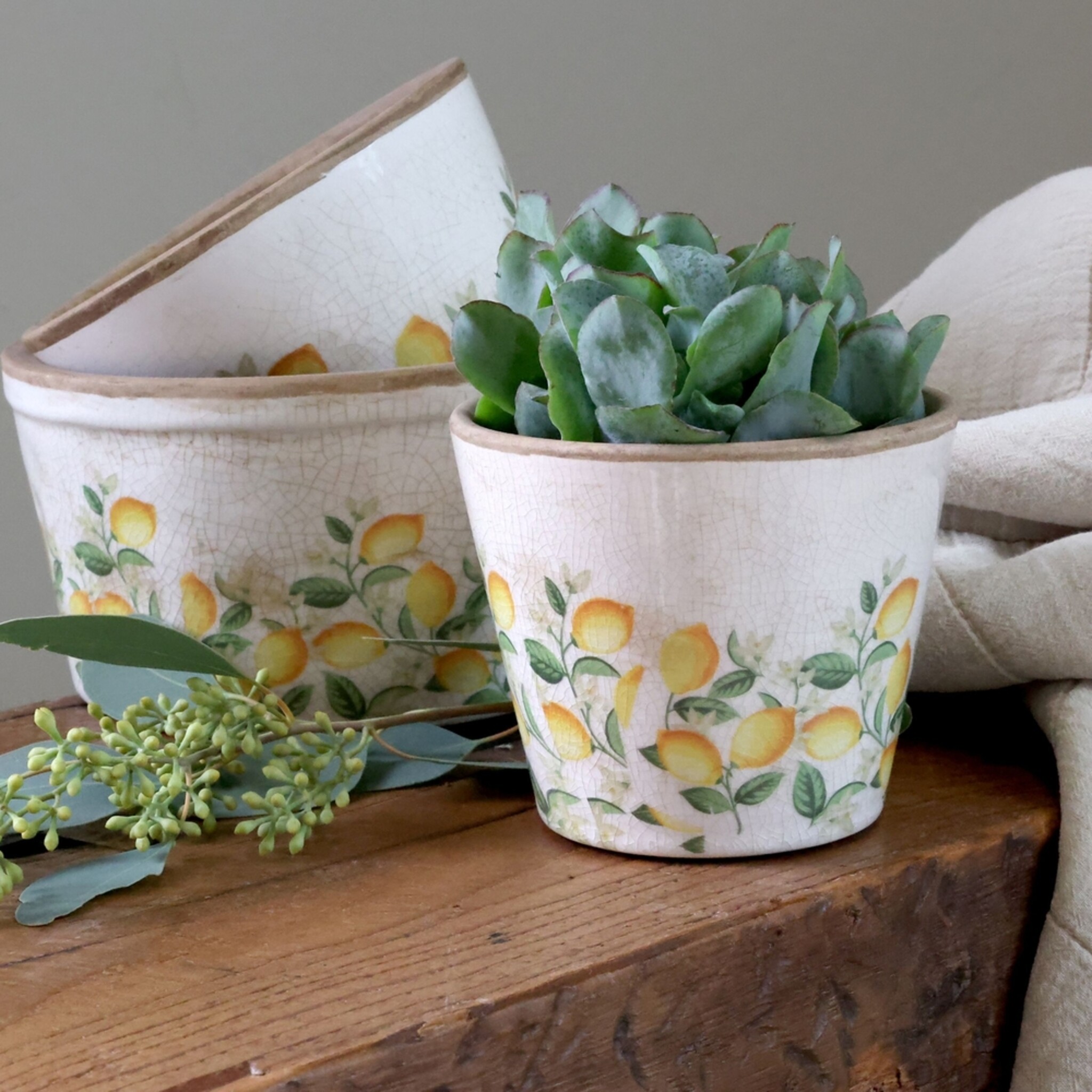 Übertopf Limone Blossom – Vintage Keramik mit Zitronenmotiv, creme 9,5 cm, Ø 11 cm