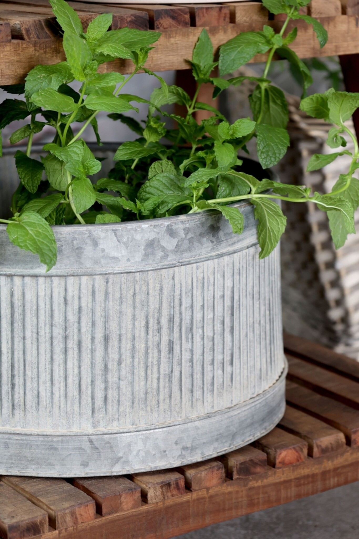 Chic Antique Übertopf mit Rillen - 2er Set, grau 