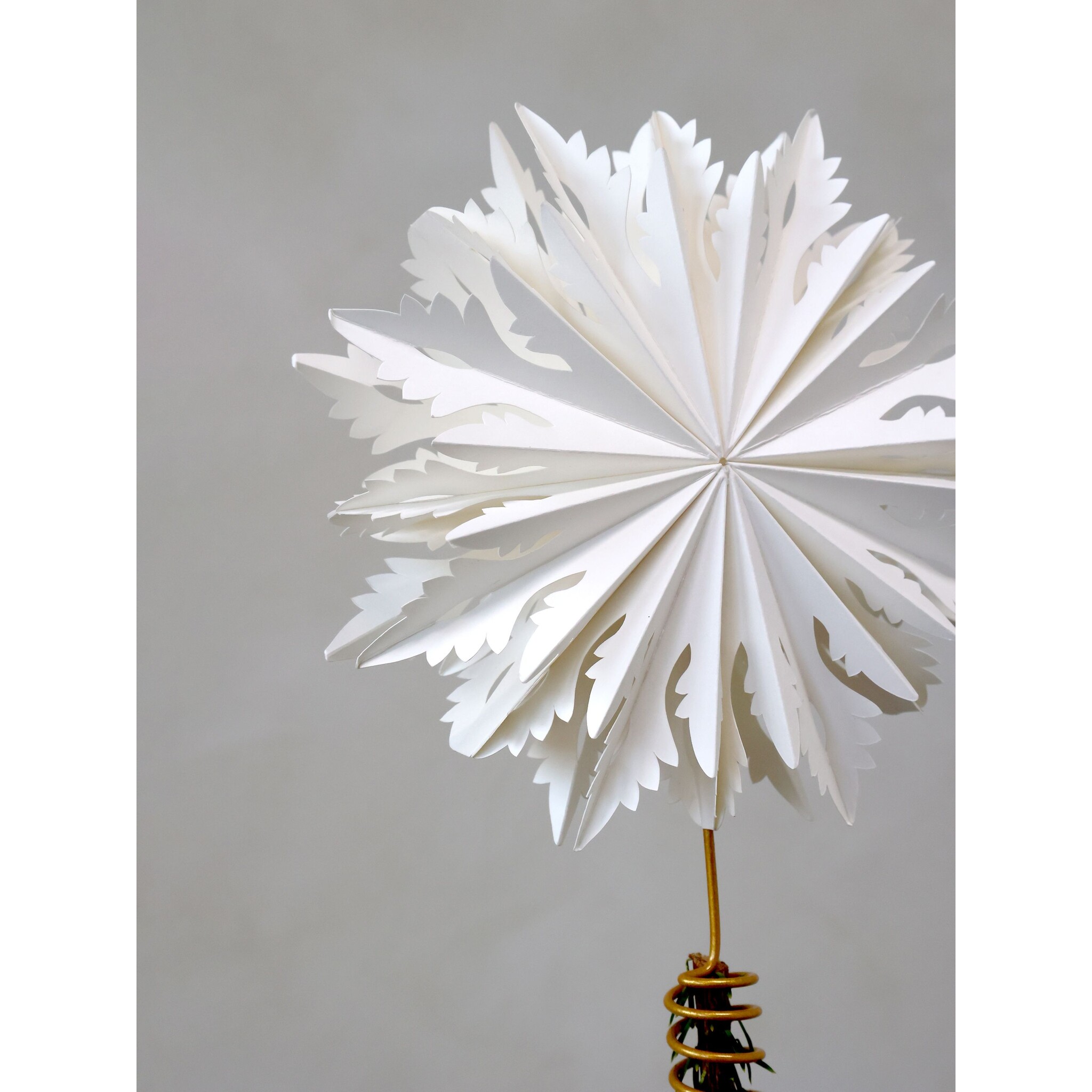 Weihnachtsbaum Spitze Papierstern, creme Breite: 7, Ø 20 cm creme