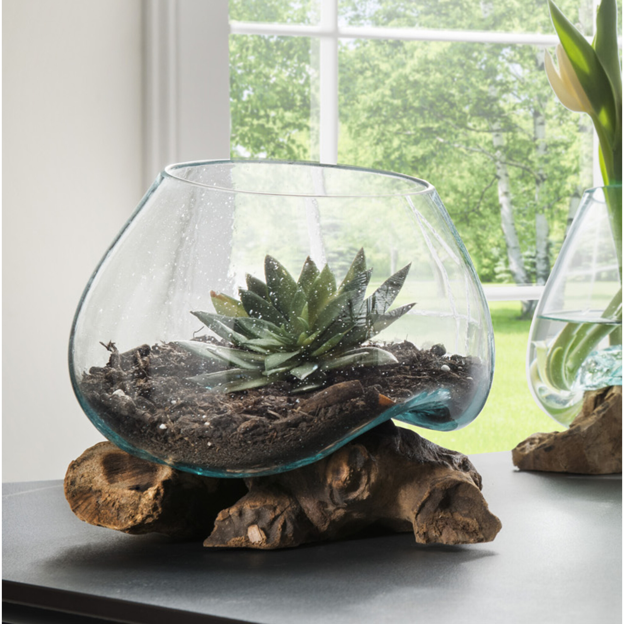 Unikat Teak-Dekowurzel mit Glasschale, natur 20 cm