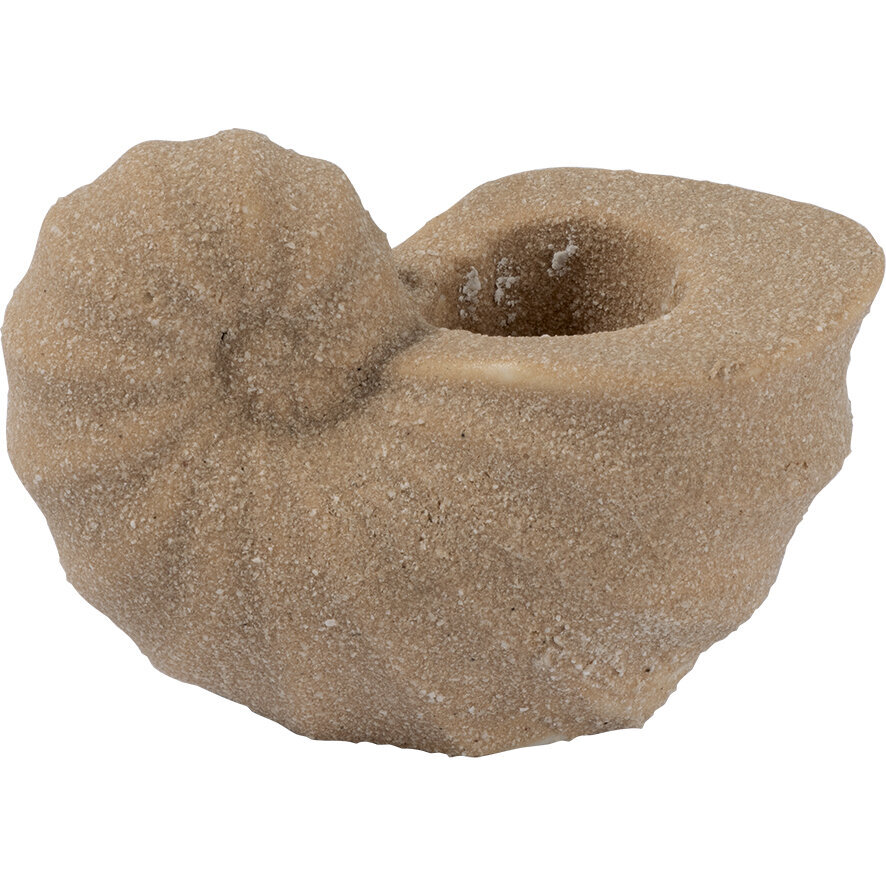 Kerzenhalter Muschel im 2er Set, beige 