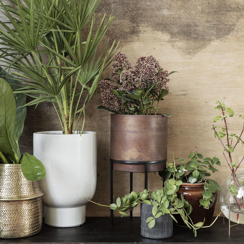 House Doctor Blumentopf Pflanzgefäß aus Ton von House Doctor günstig