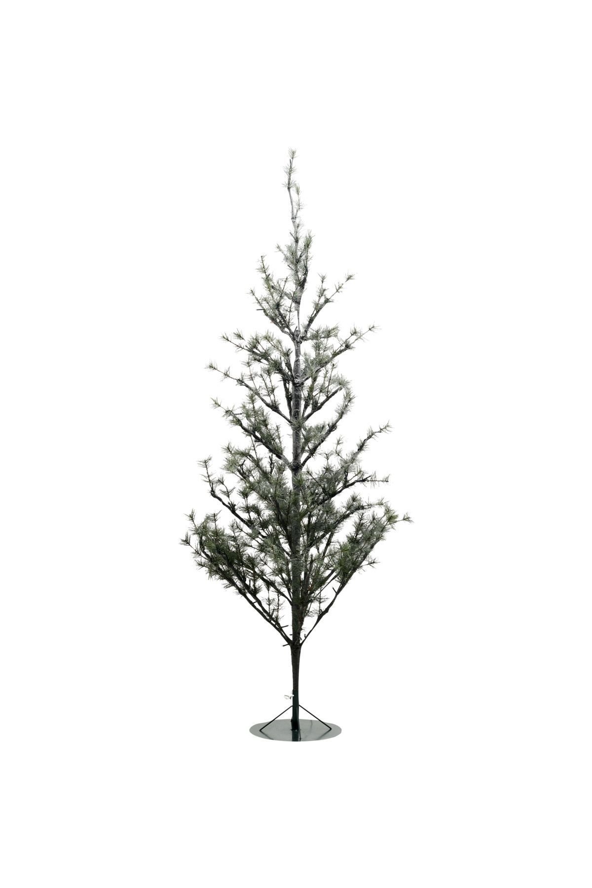 Weihnachtsbaum mit LEDs Natura, grün H180cm