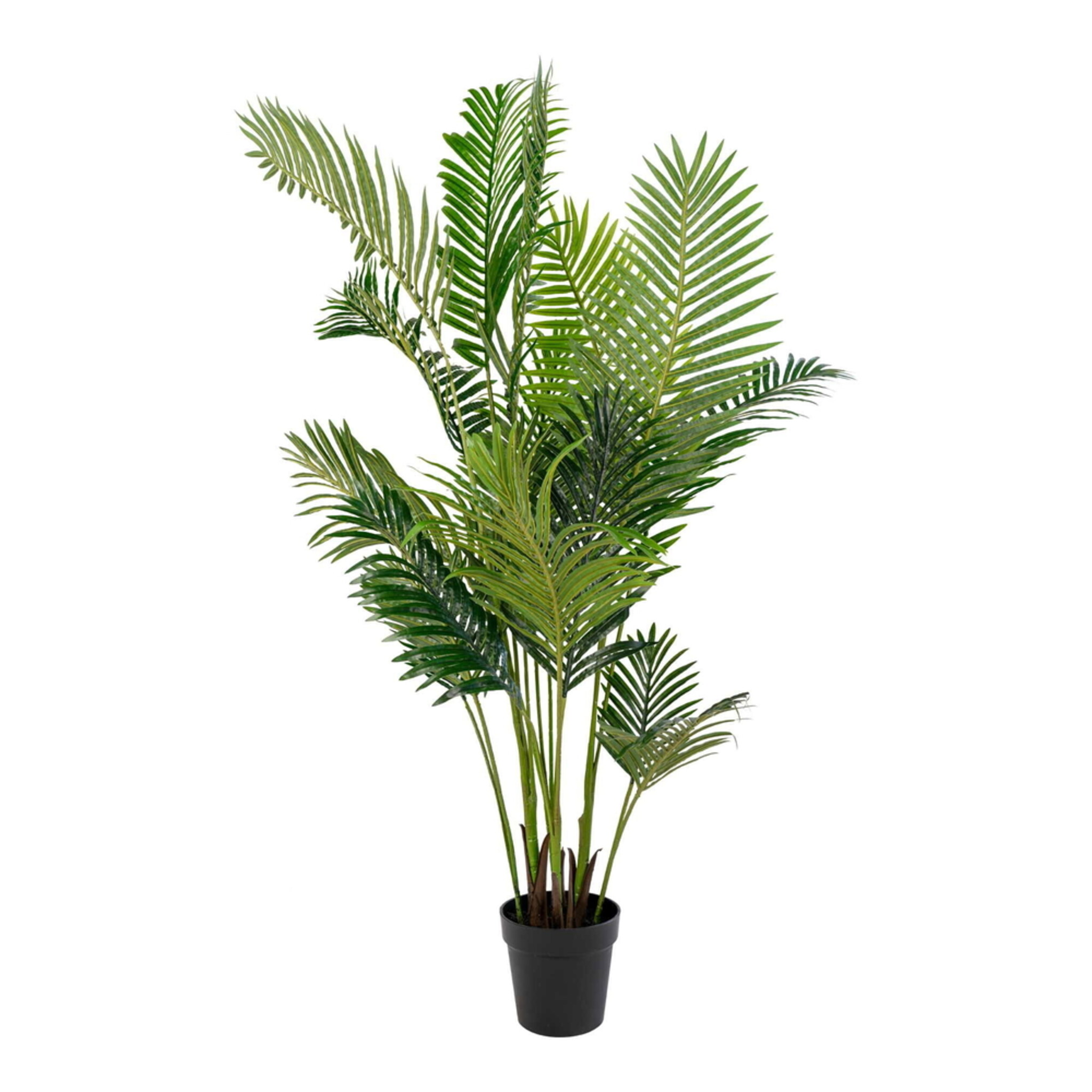 Künstliche Areca Palme, grün 