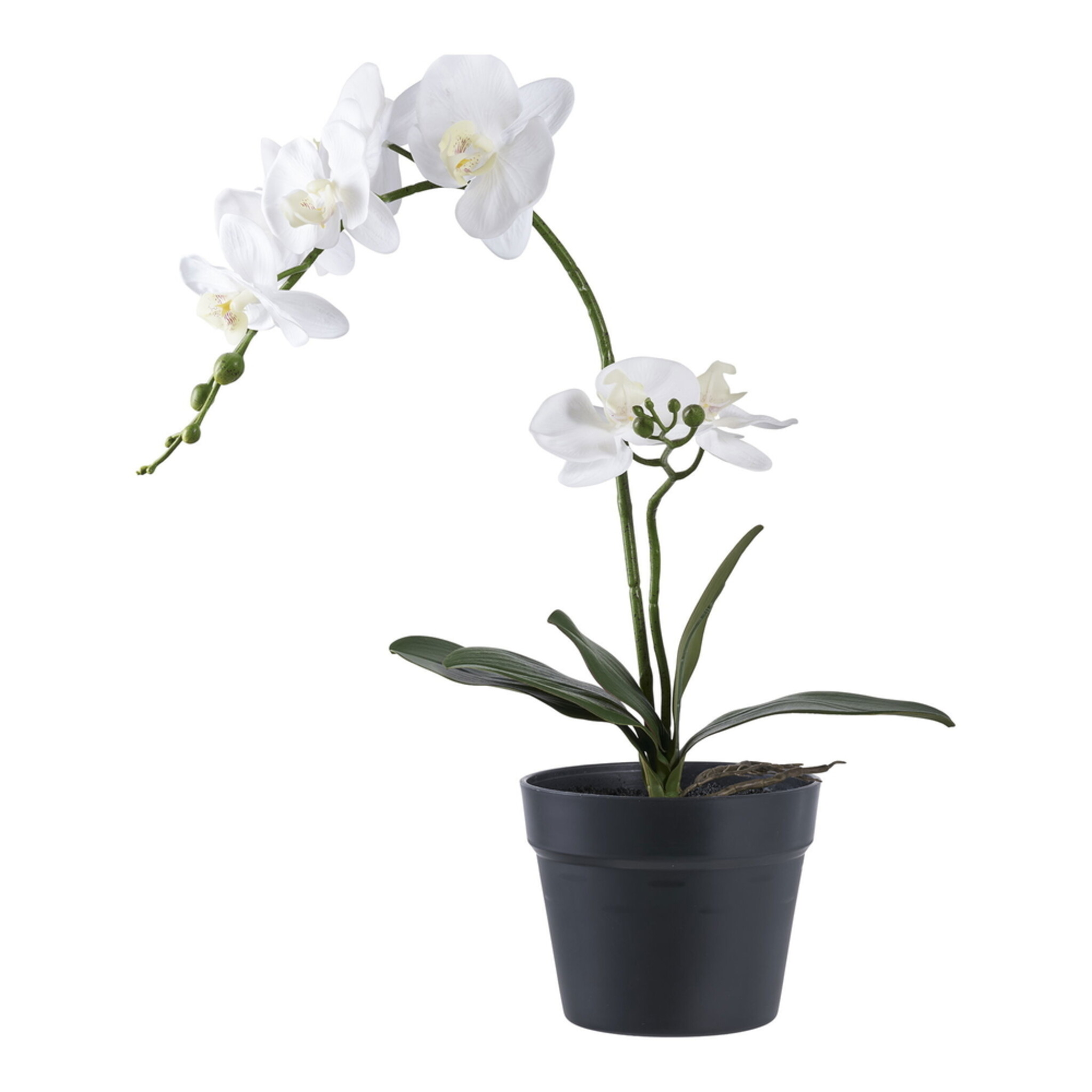 Künstliche Orchidee im Topf, weiss 