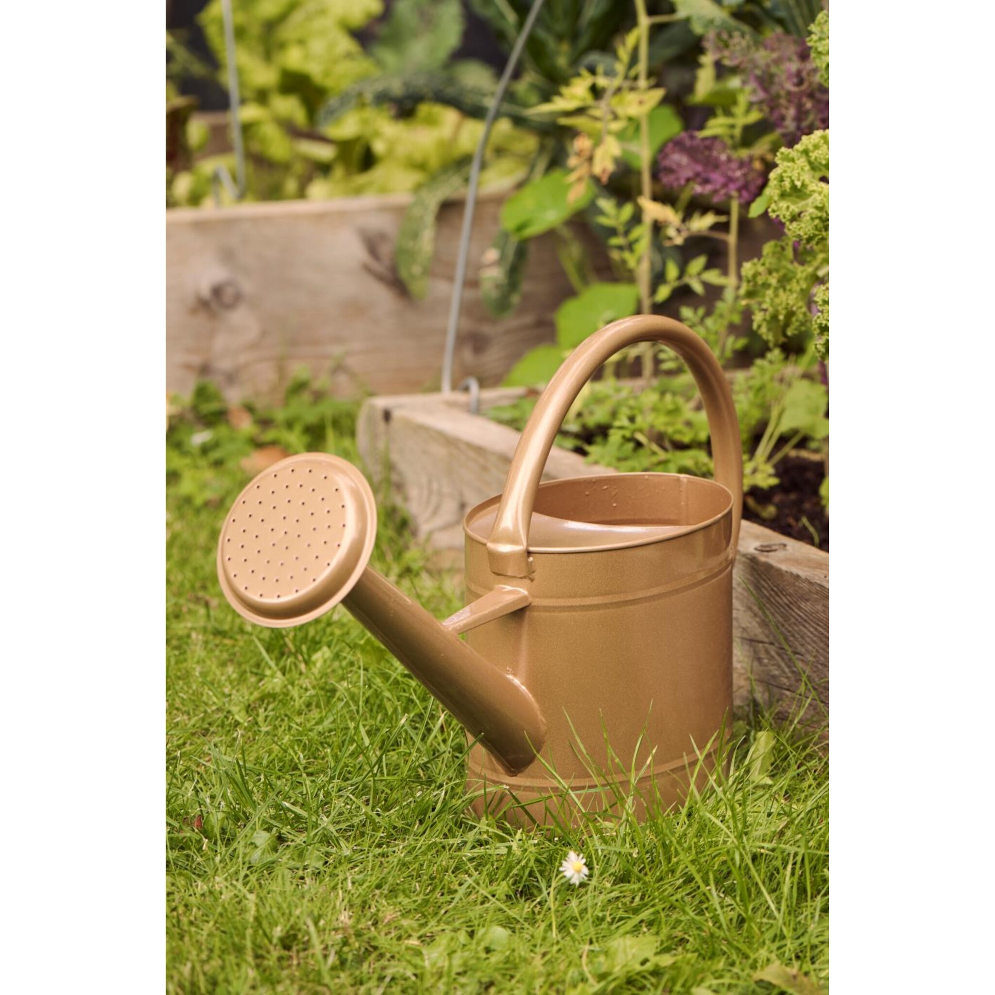 Gießkanne oval 5 ltr, braun 