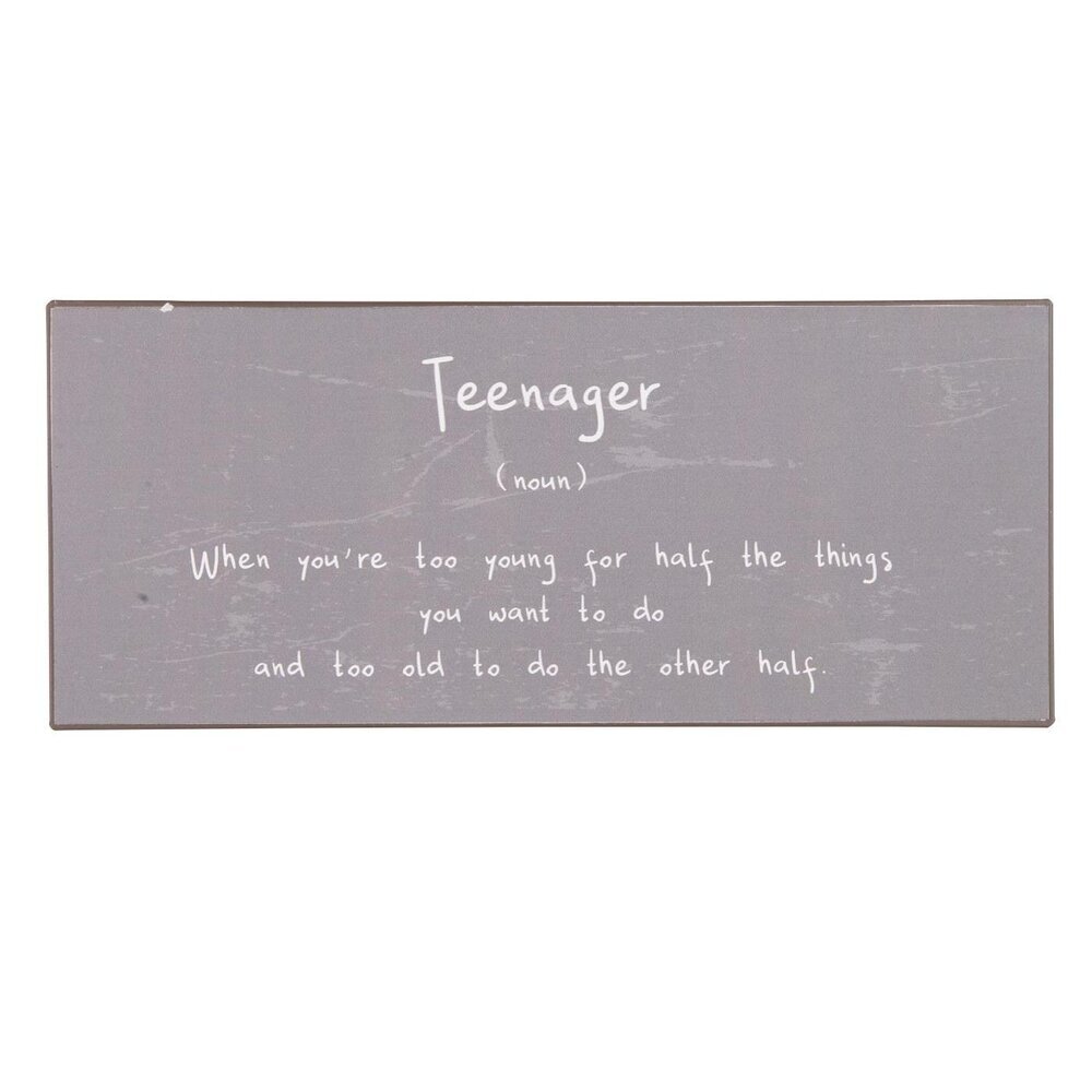Metallschild Teenager, grau 