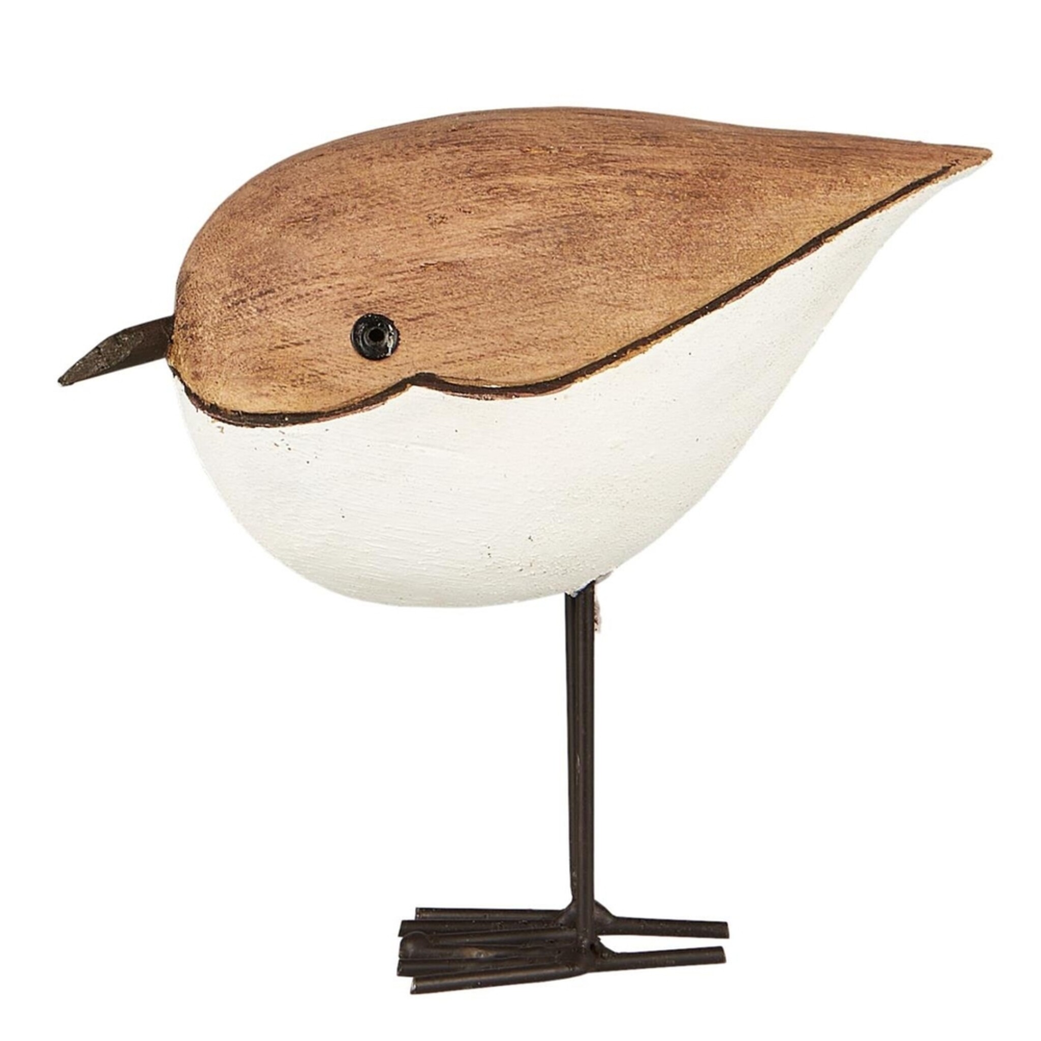 Vogel pummelig Nautico, natur 