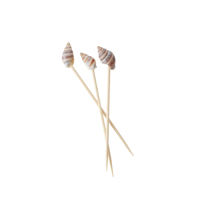 RICE Cocktailpicks Muscheln, braun 
