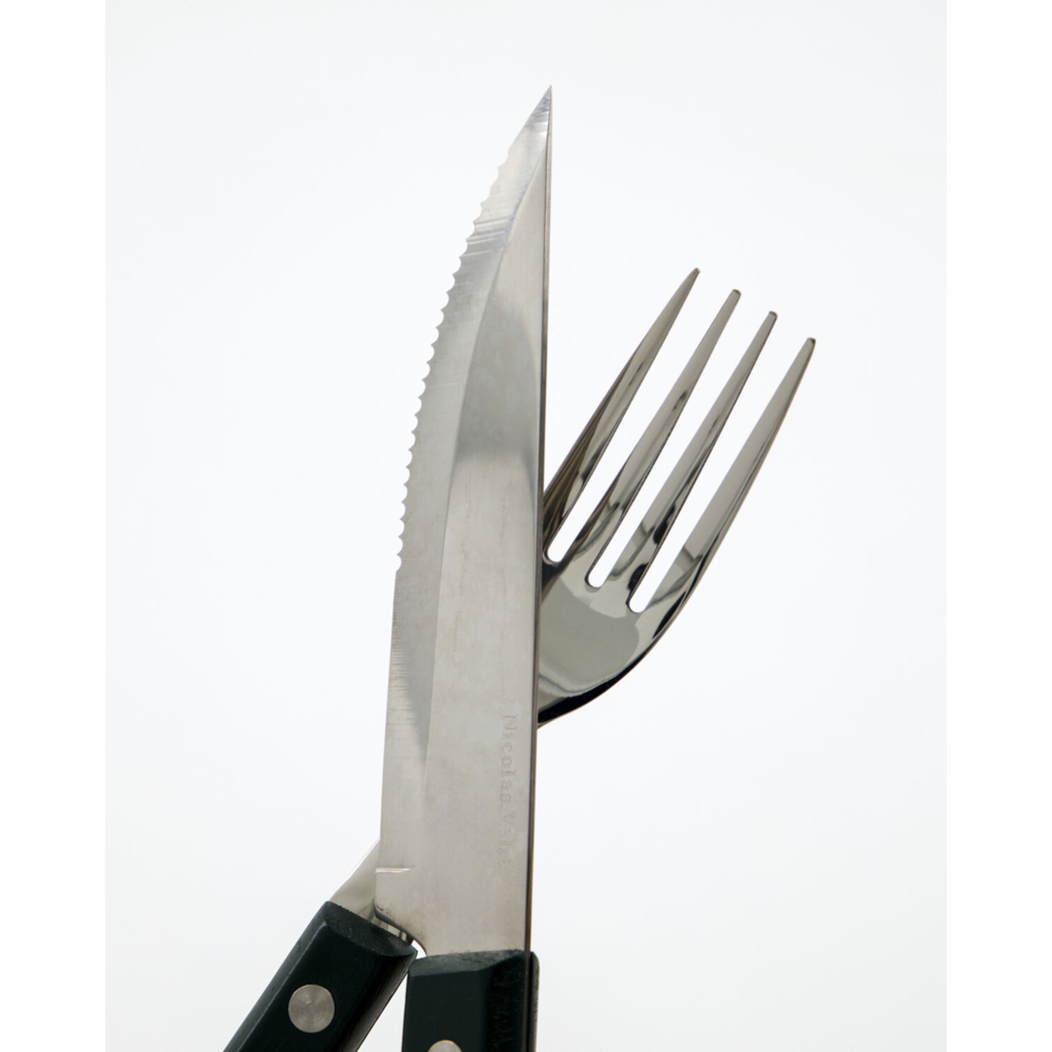 Steakmesser- und Gabelset, NVSteak, grün 