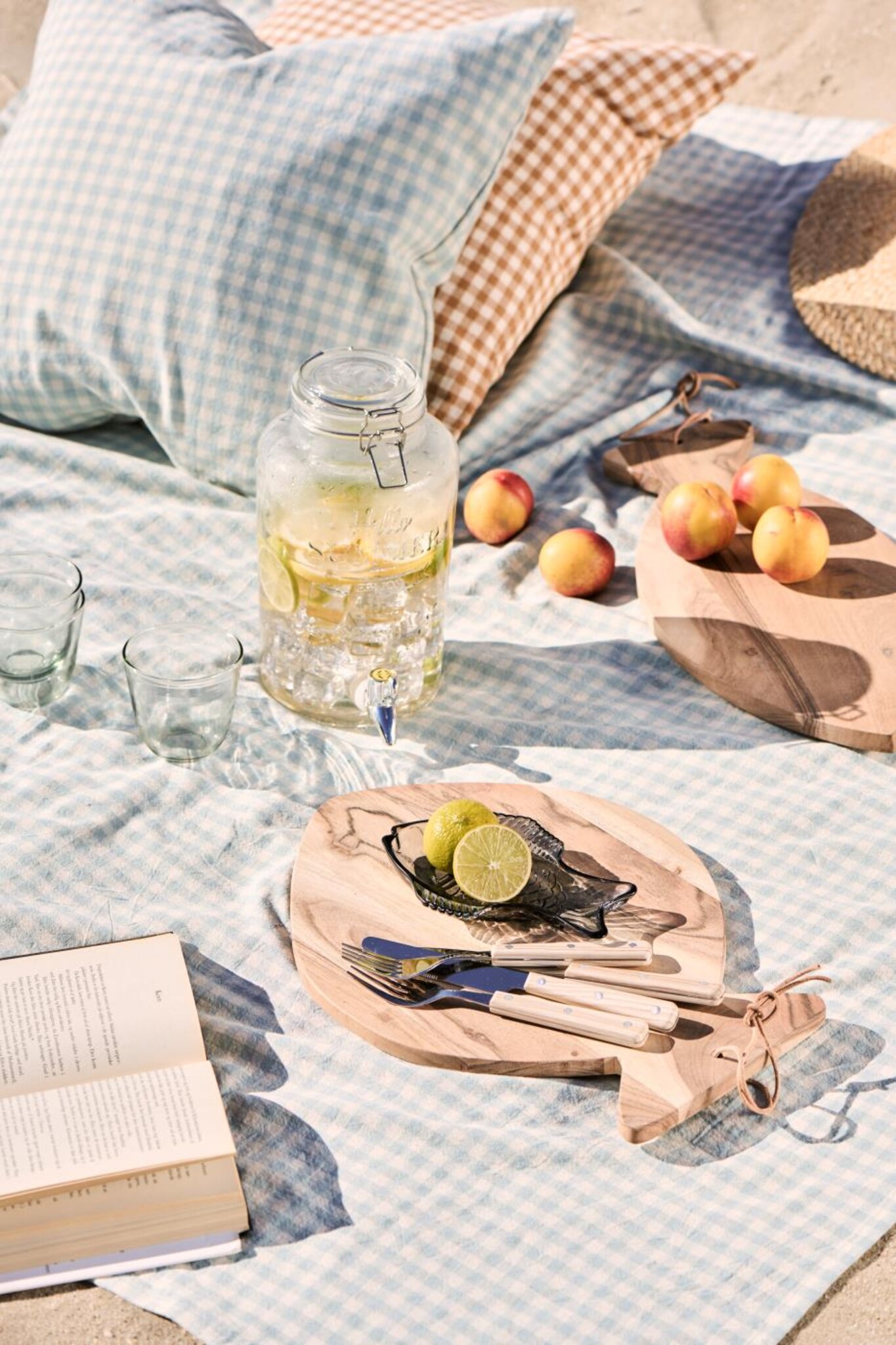Hello Summer Vibes mit IB Laursen Bild 1