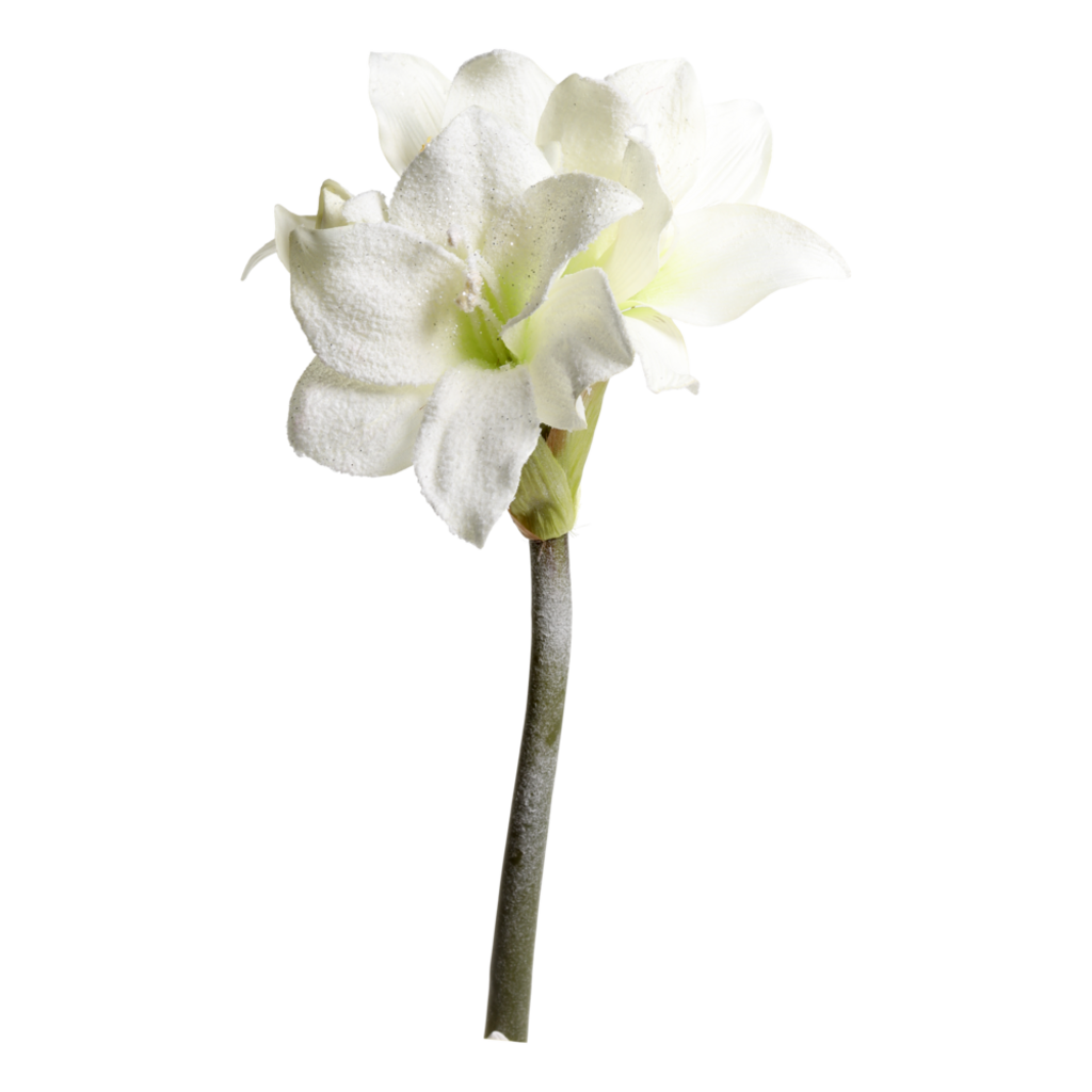 Chic Antique Fleur künstliche Amaryllis mit Schnee und Glitzer Preview Image