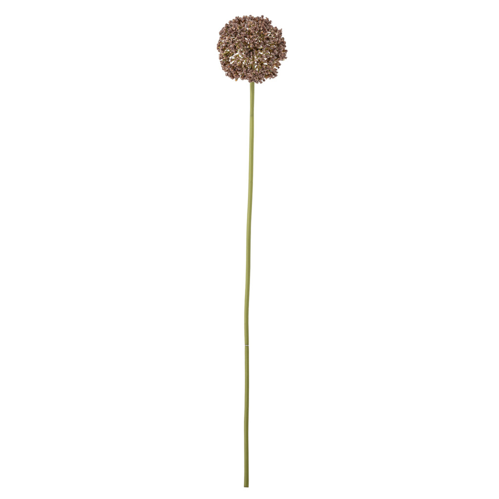 Bloomingville Allium Stiel, Braun, Künstliche Blume Preview Image