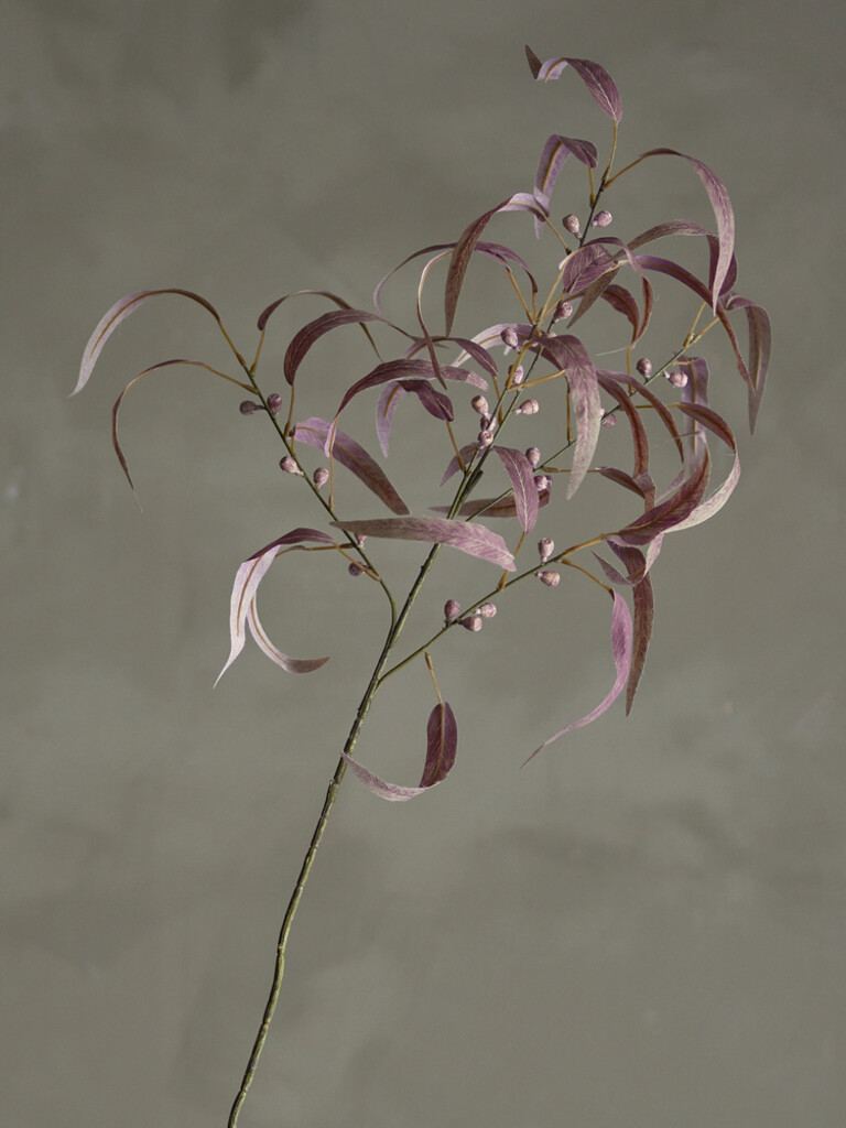 Bloomingville Eucalyptus Stiel, Rot, Kunstpflanze Preview Image