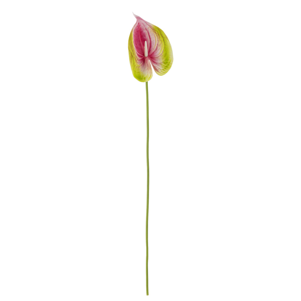 Bloomingville Flamingo Stiel, Pink, Künstliche Blume Preview Image