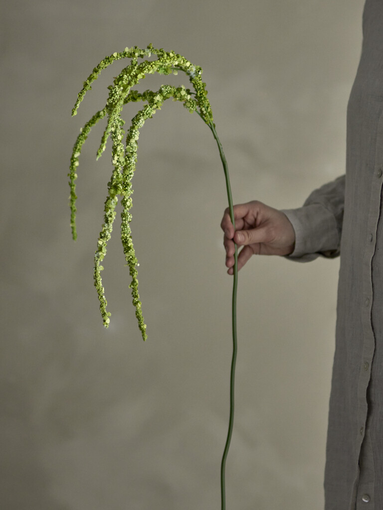 Bloomingville Foxtail Stiel, Grün, Künstliche Blume Preview Image