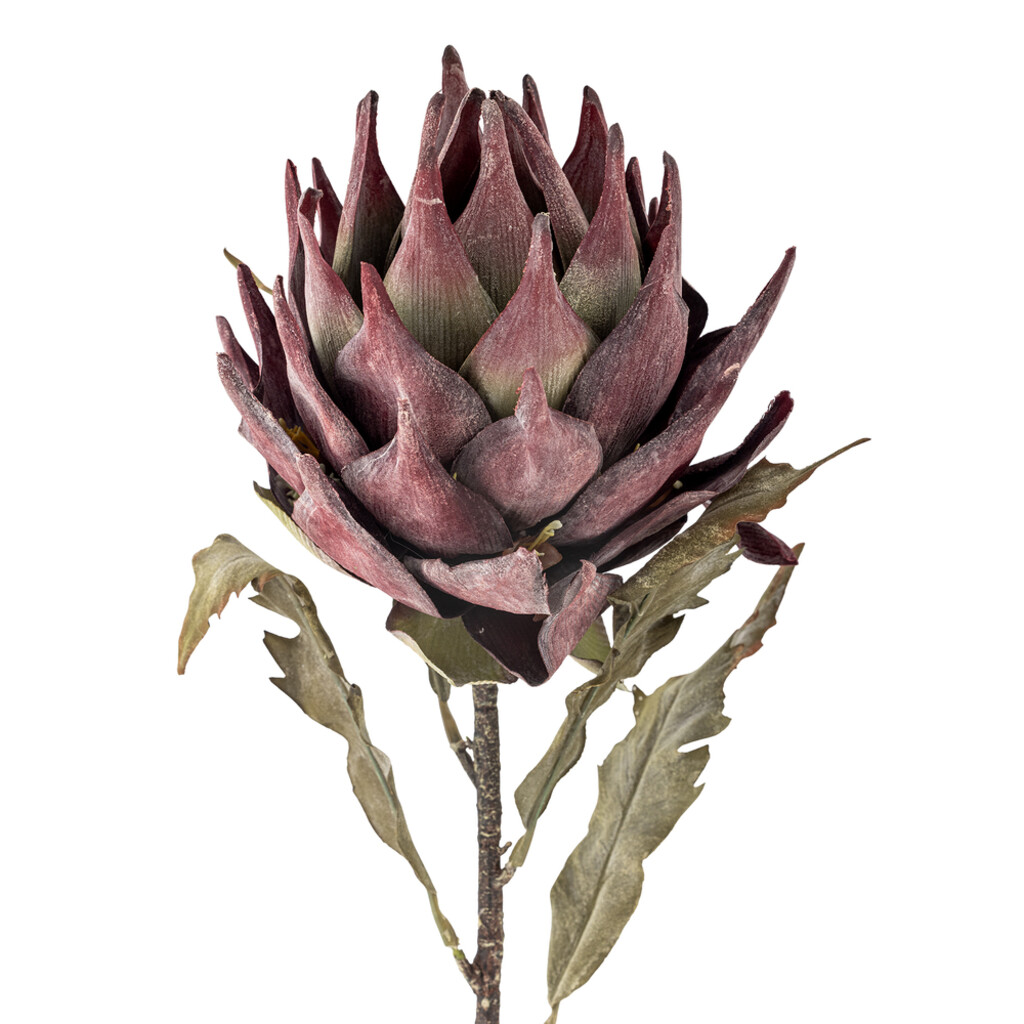 Bloomingville Kunstblume Protea Stiel, Violett Preview Image