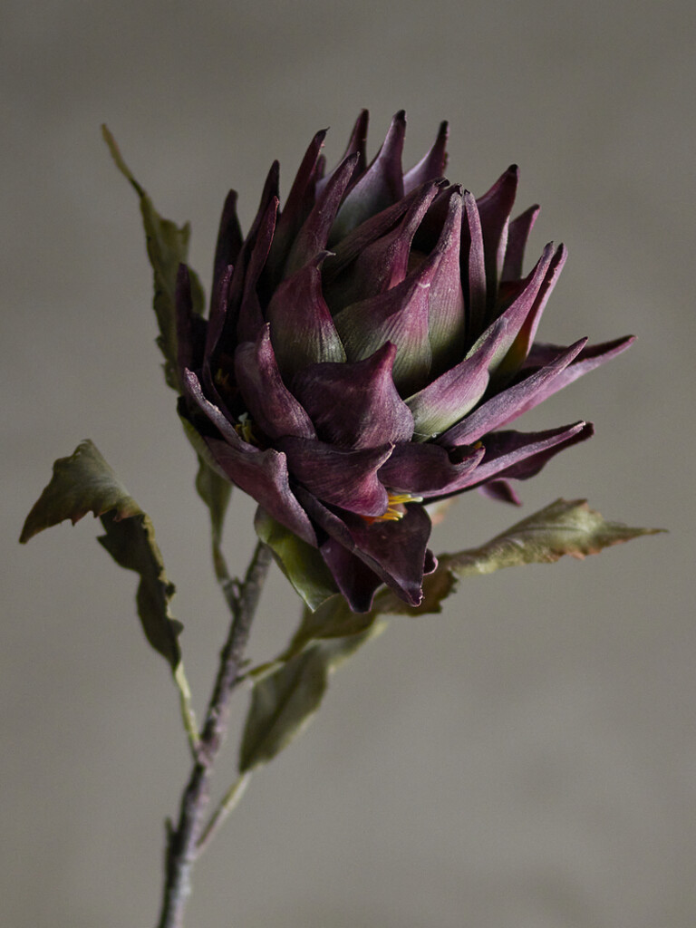 Bloomingville Kunstblume Protea Stiel, Violett Preview Image