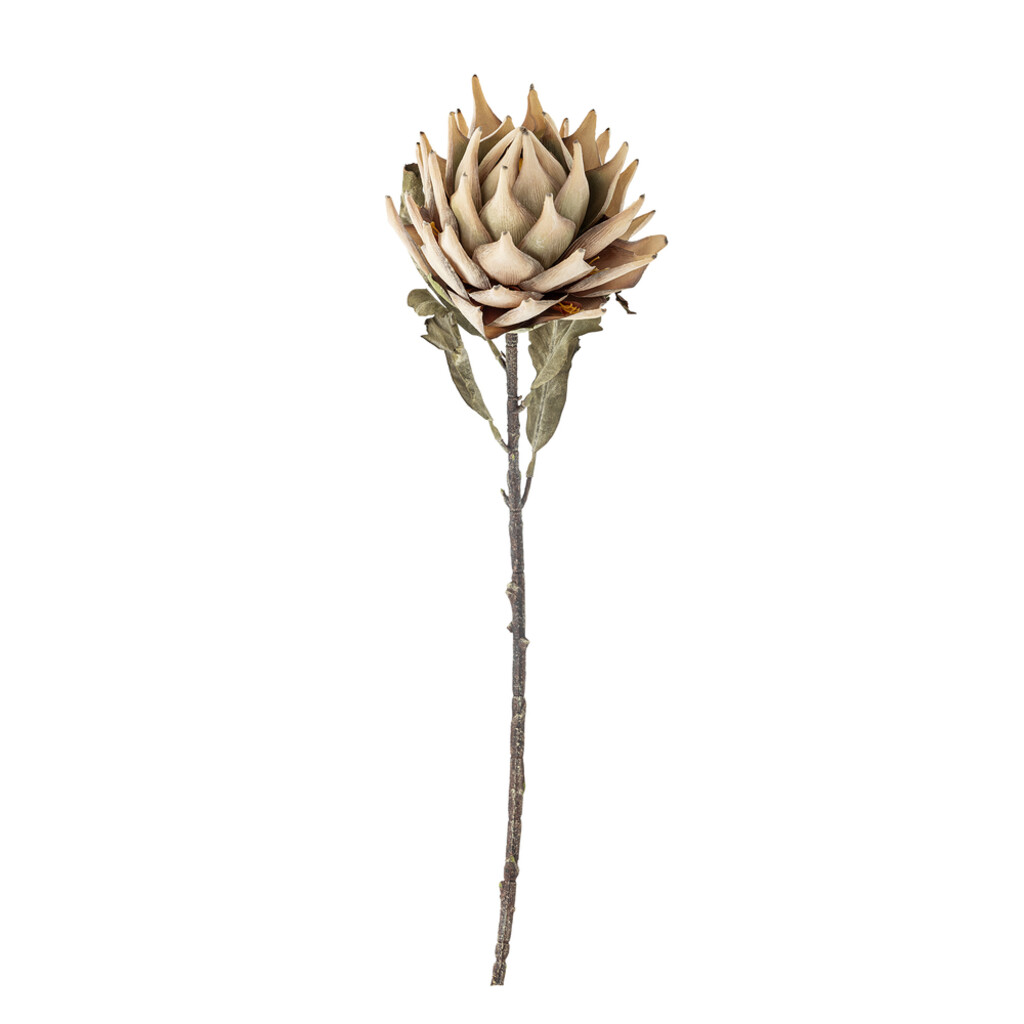 Bloomingville Protea Stiel, Künstliche Blume Preview Image