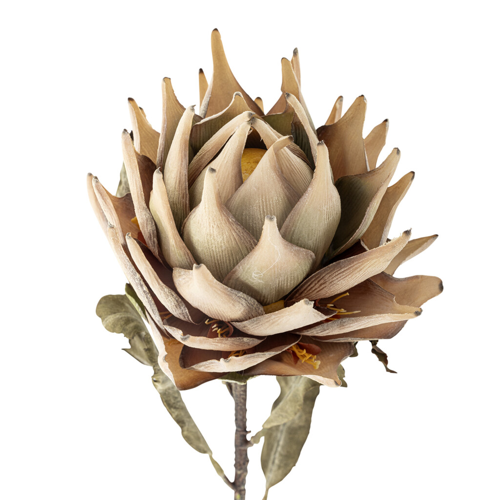 Protea Stiel, Künstliche Blume