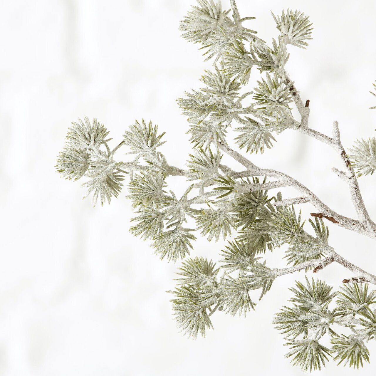 2er Set Dekozweig Kiefer