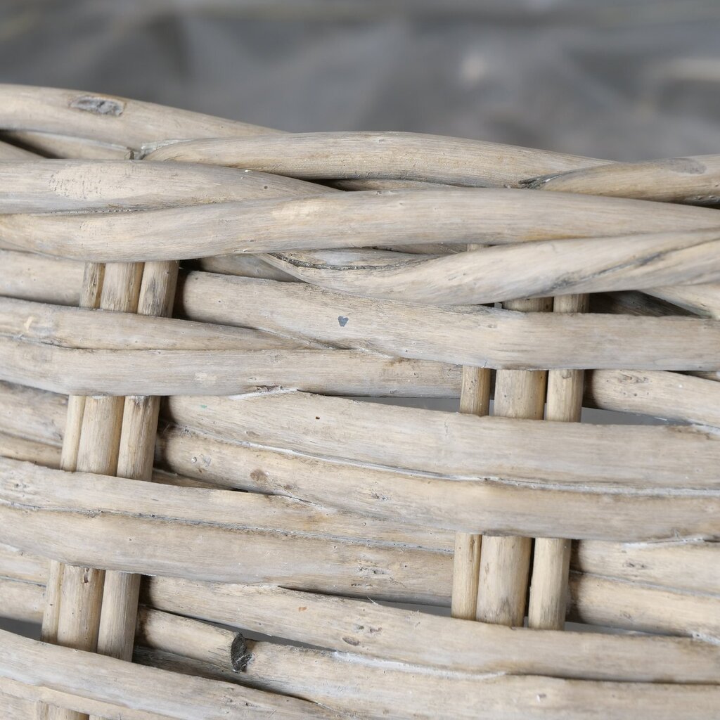 3er Set Blumentopf Pflanzkorb Malonia