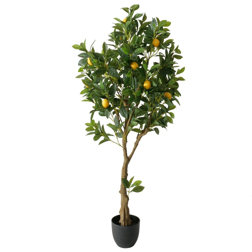 Deko Zitronenbaum